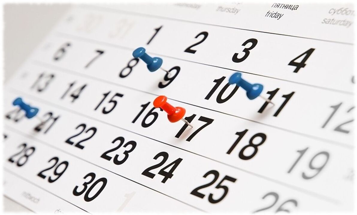 favorite diet schedule